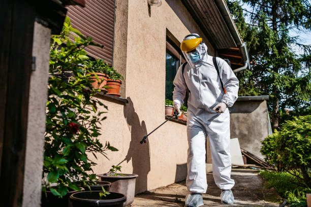 Best Affordable Pest Control Services  in Isla Vista, CA