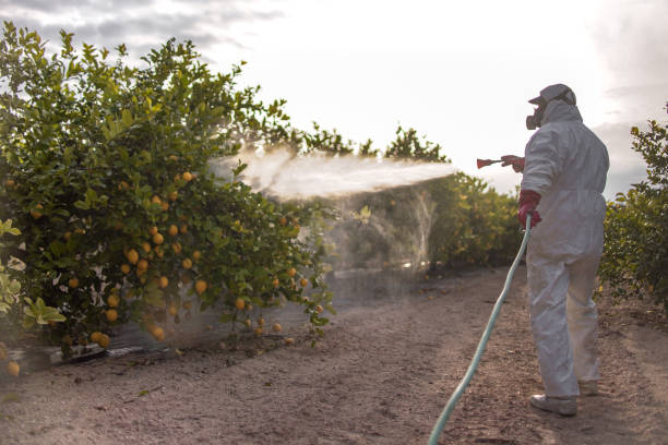 Best Mosquito Control Services  in Isla Vista, CA