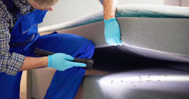 Best Best Pest Control Companies  in Isla Vista, CA