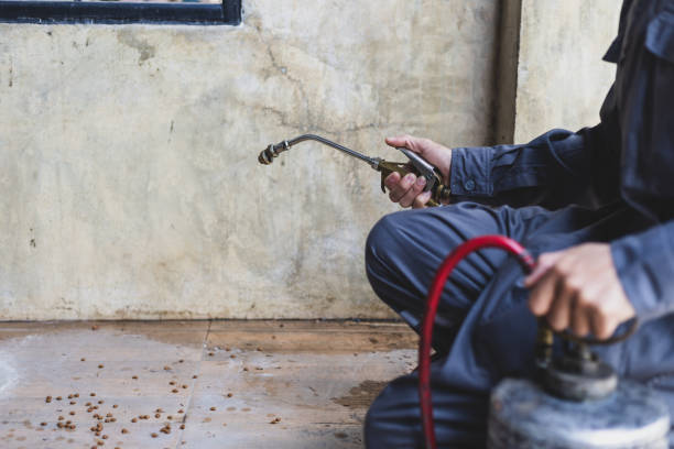 Best Best Pest Control Companies  in Isla Vista, CA