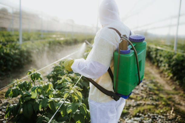 Best Termite Control Services  in Isla Vista, CA